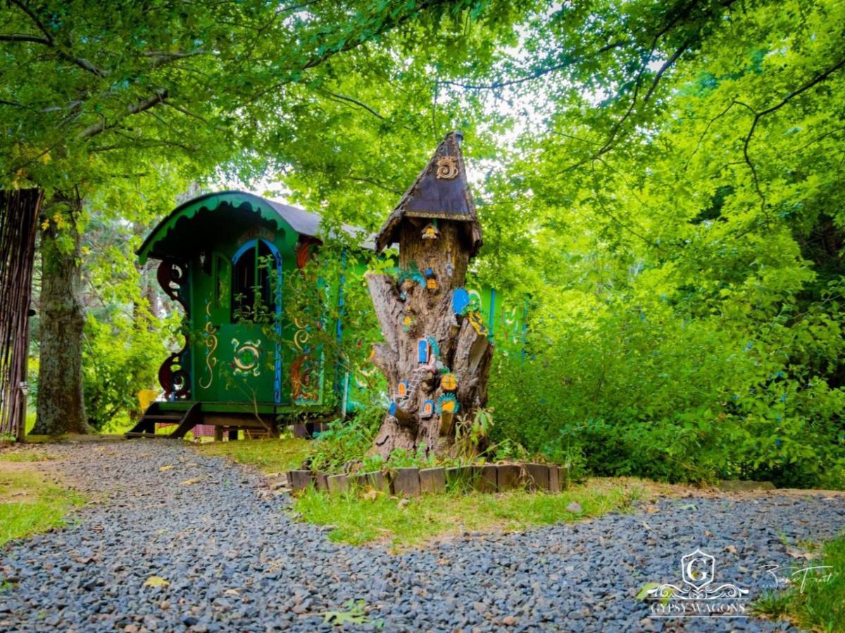 Apartamento Gypsy Wagons And Vans, Clarens Habitación foto